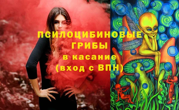 меф Корсаков