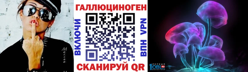 Купить где Ильский Галлюциногенные грибы Psilocybe